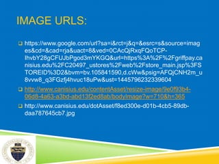 IMAGE URLS:
 https://www.google.com/url?sa=i&rct=j&q=&esrc=s&source=imag
es&cd=&cad=rja&uact=8&ved=0CAcQjRxqFQoTCP-
IhvbY28gCFUJbPgod3mYKGQ&url=https%3A%2F%2Fgriffpay.ca
nisius.edu%2FC20497_ustores%2Fweb%2Fstore_main.jsp%3FS
TOREID%3D2&bvm=bv.105841590,d.cWw&psig=AFQjCNH2m_u
8vvw8_q3FGzfj4hvuc18uPw&ust=1445796232339604
 http://www.canisius.edu/contentAsset/resize-image/9e0f93b4-
06d8-4a63-a3bd-abd13f2ed8ab/bodyImage?w=710&h=365
 http://www.canisius.edu/dotAsset/f8ed300e-d01b-4cb5-89db-
daa787645cb7.jpg
 