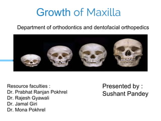 Growth of Maxilla
Department of orthodontics and dentofacial orthopedics
Presented by :
Sushant Pandey
Resource faculties :
Dr. Prabhat Ranjan Pokhrel
Dr. Rajesh Gyawali
Dr. Jamal Giri
Dr. Mona Pokhrel
 