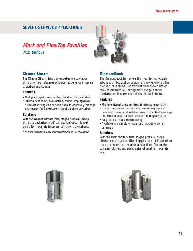 Flowserve Control Valve Product Overview