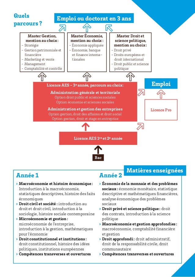 Plaquette Licence AES