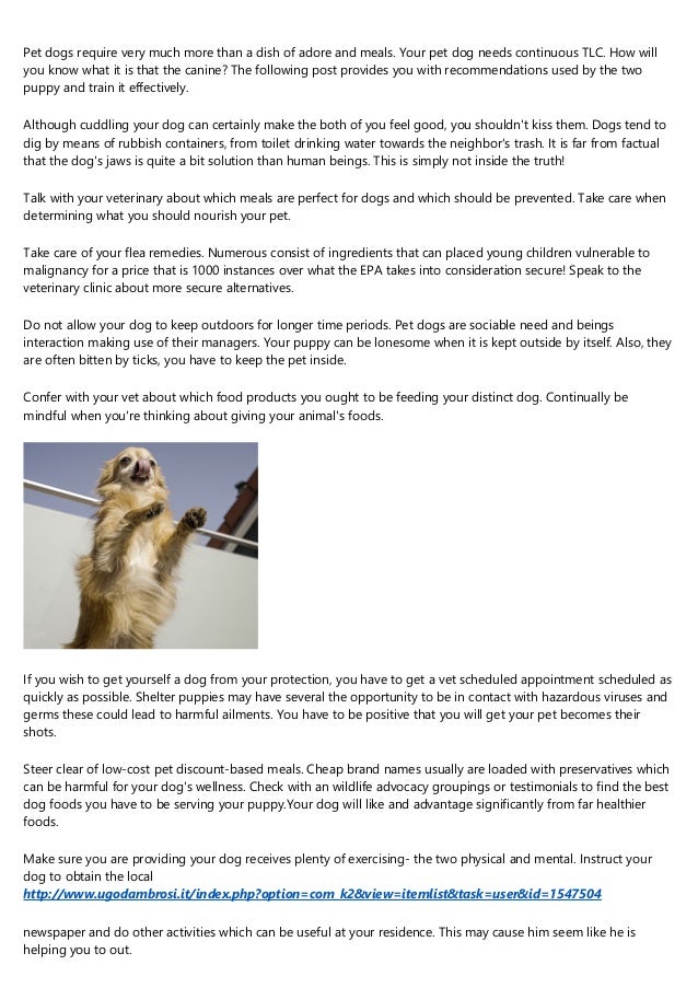 mindful meals dog food