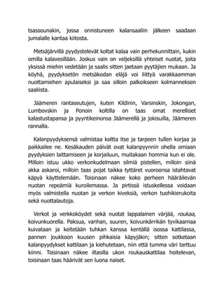 tsassounakin, jossa onnistuneen kalansaaliin jälkeen saadaan
jumalalle kantaa kiitosta.
Metsäjärvillä pyydystelevät koltat kalaa vain perhekunnittain, kukin
omilla kalavesillään. Joskus vain on veljeksillä yhteiset nuotat, joita
yksissä miehin vedetään ja saalis sitten jaetaan pyytäjien mukaan. Ja
köyhä, pyydyksetön metsäkodan eläjä voi liittyä varakkaamman
nuottamiehen apulaiseksi ja saa silloin palkoikseen kolmanneksen
saaliista.
Jäämeren rantaseutujen, kuten Kildinin, Varsinskin, Jokongan,
Lumbovskin ja Ponoin koltilla on taas omat merelliset
kalastustapansa ja pyyntikeinonsa Jäämerellä ja jokisuilla, Jäämeren
rannalla.
Kalanpyydyksensä valmistaa koltta itse ja tarpeen tullen korjaa ja
paikkailee ne. Kesäkauden päivät ovat kalanpyynnin ohella omiaan
pyydyksien laittamiseen ja korjailuun, muitakaan hommia kun ei ole.
Milloin istuu ukko verkonkudelmaan silmiä pistellen, milloin siinä
akka askaroi, milloin taas pojat taikka tyttäret vuoroonsa istahtavat
käpyä käyttelemään. Toisinaan näkee koko perheen hääräilevän
nuotan repeämiä kuroilemassa. Ja pirtissä istuskellessa voidaan
myös valmistella nuotan ja verkon kiveksiä, verkon tuohikierukoita
sekä nuottalautoja.
Verkot ja verkkoköydet sekä nuotat lappalainen värjää, roukaa,
koivunkuorella. Paksua, vanhan, suuren, koivunkärrikän tyvikaarnaa
kuivataan ja keitetään tuhkan kanssa kentällä isossa kattilassa,
pannen joukkoon kuusen pihkaisia käpyjäkin; sitten sotketaan
kalanpyydykset kattilaan ja kiehutetaan, niin että tumma väri tarttuu
kiinni. Toisinaan näkee iltasilla ukon roukauskattilaa hoitelevan,
toisinaan taas häärivät sen luona naiset.
 