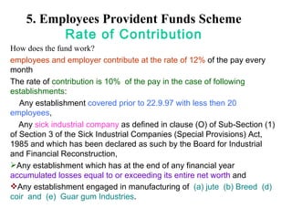 5. Employees Provident Funds Scheme Rate of Contribution How does the fund work? employees and employer contribute at the rate of 12%  of the pay every month  The rate of  contribution is 10%  of the pay in the case of following establishments : Any establishment  covered prior to 22.9.97 with less then 20 employees , Any  sick industrial company  as defined in clause (O) of Sub-Section (1) of Section 3 of the Sick Industrial Companies (Special Provisions) Act, 1985 and which has been declared as such by the Board for Industrial and Financial Reconstruction,  Any establishment which has at the end of any financial year  accumulated losses equal to or exceeding its entire net worth  and  Any establishment engaged in manufacturing of   (a) jute  (b) Breed  (d) coir  and  (e)  Guar gum Industries .   