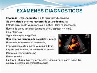 EXAMENES DIAGNOSTICOS
Ecografia: Ultrasonografía. Es de gran valor diagnostico.
Se consideran criterios mayores de esta enfermedad:
Cálculo en el cuello vesicular o en el cístico (difícil de reconocer).
Edema de pared vesicular (aumento de su espesor > 4 mm).
Gas intramural
Signo demurphy ecográfico
Son criterios menores de colecistitis aguda:
Presencia de cálculos en la vesícula,
Engrosamiento de la pared vesicular >4mm.
Líquido perivesicular, en ausencia de ascitis
Dilatación vesicular(>5 cm.),
Forma esférica.
La tríada: litiasis, Murphy ecográfico y edema de la pared vesicular
es muy sugerente de colecistitis aguda.
 