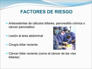 FACTORES DE RIESGO
 Antecedentes de cálculos biliares, pancreatitis crónica o
cáncer pancreático
 Lesión al área abdominal
 Cirugía biliar reciente
 Cáncer biliar reciente (como el cáncer de las vías
biliares)
 