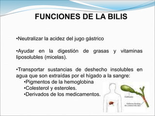 •Neutralizar la acidez del jugo gástrico
•Ayudar en la digestión de grasas y vitaminas
liposolubles (micelas).
•Transportar sustancias de deshecho insolubles en
agua que son extraídas por el hígado a la sangre:
•Pigmentos de la hemoglobina
•Colesterol y esteroles.
•Derivados de los medicamentos.
FUNCIONES DE LA BILIS
 