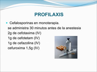 PROFILAXIS
 Cefalosporinas en monoterapia.
se administra 30 minutos antes de la anestesia
2g de cefotaxima (IV)
1g de cefotetam (IV)
1g de cefazolina (IV)
cefuroxima 1,5g (IV)
 