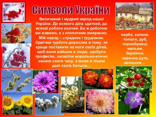 Калина красная анализ произведения