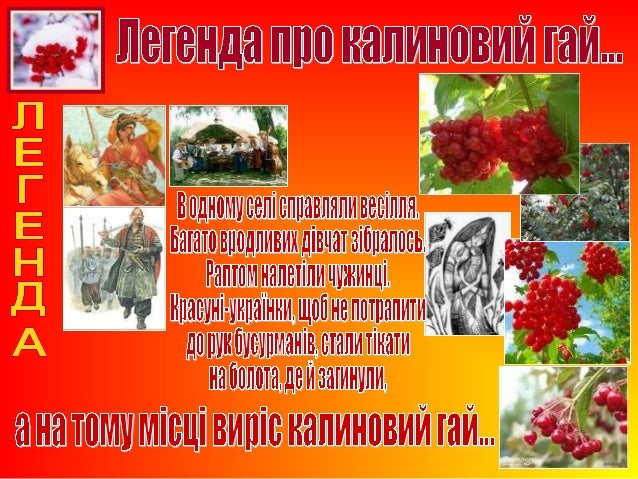 Народ для собрался калина