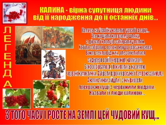 Происхождение слова калина