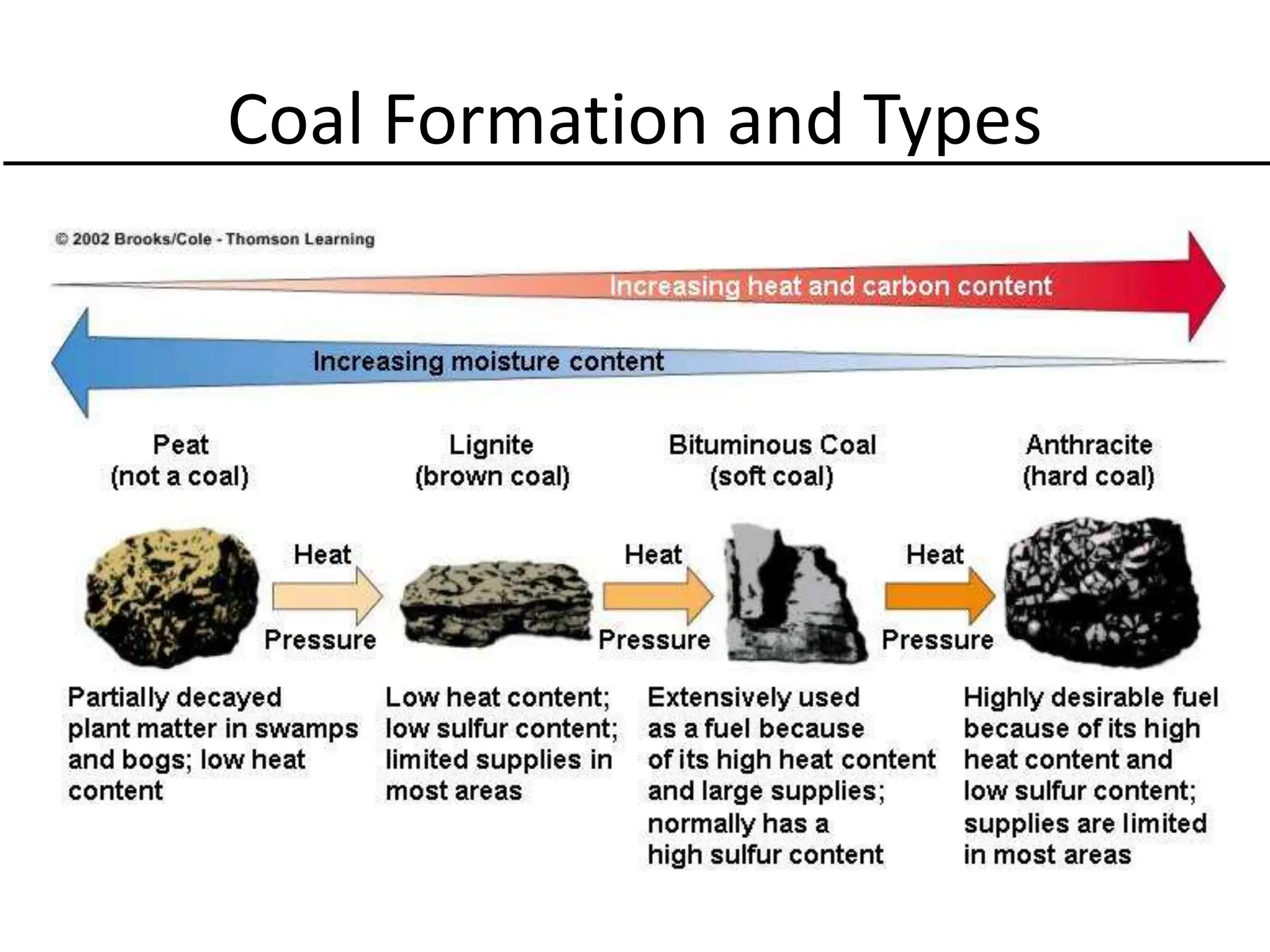 Coal Formation and Types
 