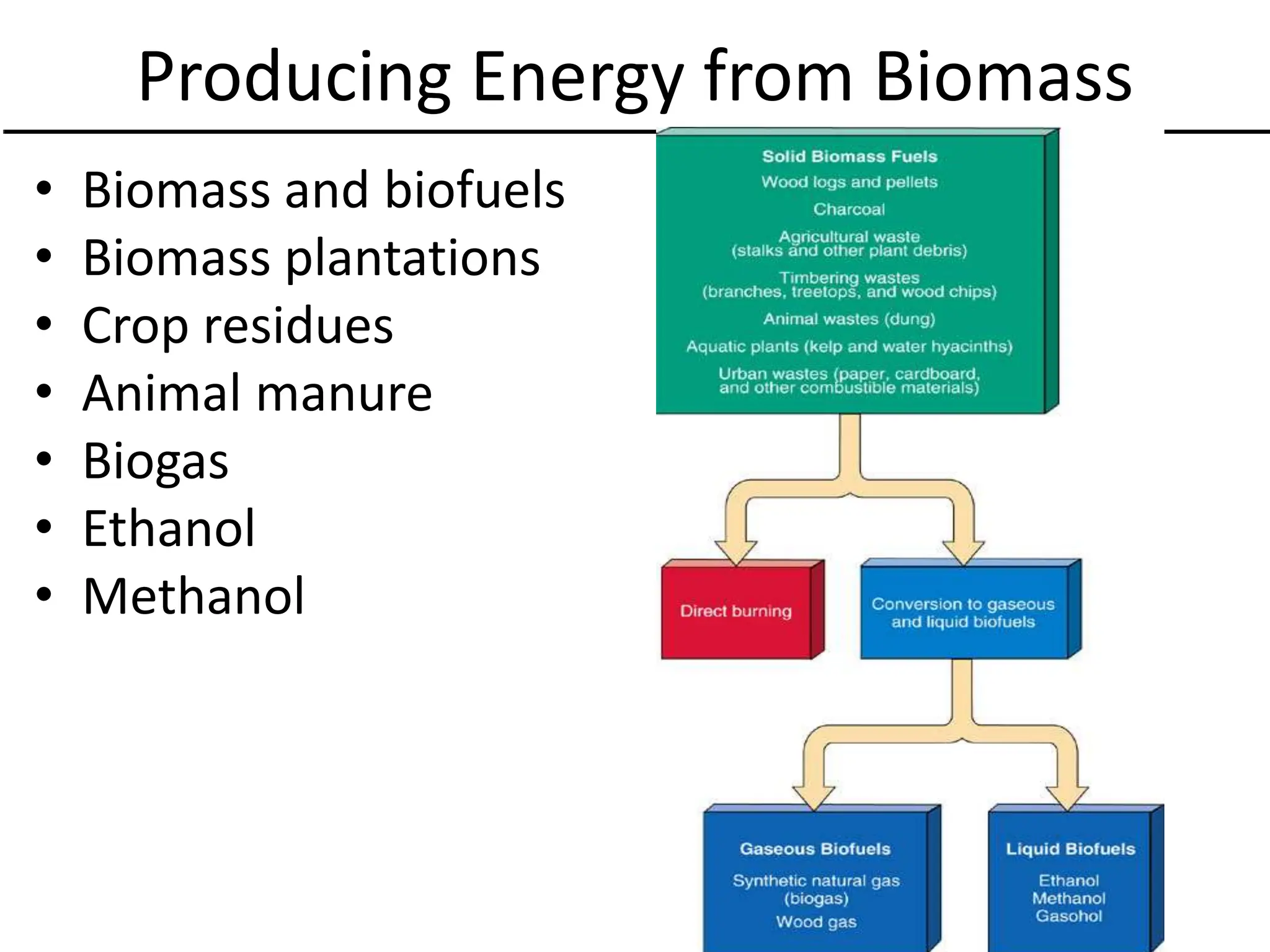 Producing Energy from Biomass
• Biomass and biofuels
• Biomass plantations
• Crop residues
• Animal manure
• Biogas
• Ethanol
• Methanol
 