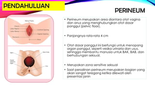 PERINEUM
• Perineum merupakan area diantara otot vagina
dan anus yang menghubungkan otot dasar
panggul (pelvic floor).
• Panjangnya rata-rata 4 cm
• Otot dasar panggul ini berfungsi untuk menopang
organ panggul, seperti vesika urinaria dan usus,
sehingga membantu manusia untuk BAK, BAB, dan
berhubungan seksual.
• Merupakan zona sensitive seksual
• Saat persalinan perineum merupakan bagian yang
akan sangat teregang ketika dilewati oleh
presentasi janin
PENDAHULUAN
 