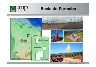 Bacia do Parnaíba
Bacia do ParnaíbaBacia do Parnaíba
Gavião Azul
Gavião Real
Gavião Branco
Fonte das imagens: OGX e MPX
Bacia do
Parnaíba
 