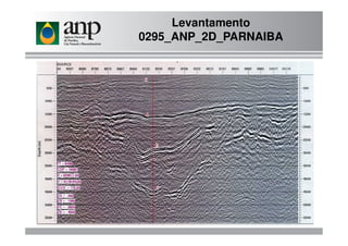 Levantamento
0295_ANP_2D_PARNAIBA
 