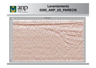Levantamento
0295_ANP_2D_PARECIS
 