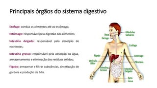 Principais órgãos do sistema digestivo
Esófago: conduz os alimentos até ao estômago;
Estômago: responsável pela digestão dos alimentos;
Intestino delgado: responsável pela absorção de
nutrientes;
Intestino grosso: responsável pela absorção da água,
armazenamento e eliminação dos resíduos sólidos;
Figado: armazenar e filtrar substâncias, sintetização de
gordura e produção de bílis.
 