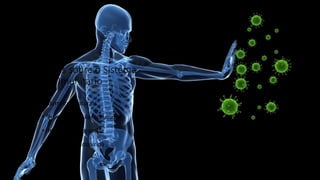 2. Noções sobre o Sistema
Imunitário
• Barreiras Naturais
• Fisiologia celular e humoral
• Imunidade natural
• Imunidade adquirida
 