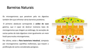Barreiras Naturais
Os microrganismos que penetram pela via digestiva
também têm que enfrentar várias barreiras protetoras.
O primeiro obstáculo corresponde à acidez do suco
gástrico, que é capar de destruir inúmeros tipos de
microrganismos que chegam ao estômago. As secreções de
outras partes do tubo digestivo criam igualmente um meio
hostil para muitos microrganismos.
Por último, existe a flora bacteriana intestinal, composta
por microrganismos saprófitas inofensivos, que travam a
proliferação de outros considerados perigosos.
 