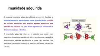 Imunidade adquirida
A resposta imunitária adquirida subdivide-se em três funções: o
reconhecimento do agente invasor como corpo estranho, a reação
do sistema imunitário que prepara agentes específicos que
intervêm no processo e a ação desses agentes que neutralizam e
destroem os corpos estranhos.
A imunidade adquirida refere-se à proteção que existe num
organismo hospedeiro quando este sofreu previamente exposição a
determinados agentes patogénicos e pode ser mediada por
anticorpos (imunidade humoral) ou mediada por células (imunidade
celular).
 