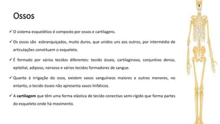 Ossos
 O sistema esquelético é composto por ossos e cartilagens.
 Os ossos são esbranquiçados, muito duros, que unidos uns aos outros, por intermédio de
articulações constituem o esqueleto.
 É formado por vários tecidos diferentes: tecido ósseo, cartilaginoso, conjuntivo denso,
epitelial, adiposo, nervoso e vários tecidos formadores de sangue.
 Quanto à irrigação do osso, existem vasos sanguíneos maiores e outros menores, no
entanto, o tecido ósseo não apresenta vasos linfáticos.
 A cartilagem que têm uma forma elástica de tecido conectivo semi-rígido que forma partes
do esqueleto onde há movimento.
 