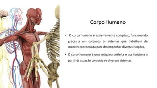 Corpo Humano
• O corpo humano é extremamente complexo, funcionando
graças a um conjunto de sistemas que trabalham de
maneira coordenada para desempenhar diversas funções.
• O corpo humano é uma máquina perfeita e que funciona a
partir da atuação conjunta de diversos sistemas.
 