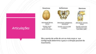 Articulações
São o ponto de união de um ou mais ossos e sua
configuração determina o grau e a direção possível do
movimento.
 