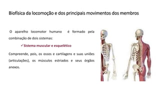 Biofísica da locomoção e dos principais movimentos dos membros
O aparelho locomotor humano é formado pela
combinação de dois sistemas:
Sistema muscular e esquelético
Compreende, pois, os ossos e cartilagens e suas uniões
(articulações), os músculos estriados e seus órgãos
anexos.
 