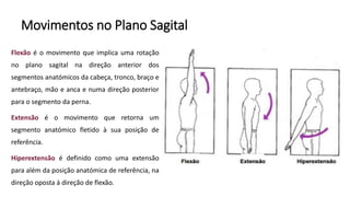 Movimentos no Plano Sagital
Flexão é o movimento que implica uma rotação
no plano sagital na direção anterior dos
segmentos anatómicos da cabeça, tronco, braço e
antebraço, mão e anca e numa direção posterior
para o segmento da perna.
Extensão é o movimento que retorna um
segmento anatómico fletido à sua posição de
referência.
Hiperextensão é definido como uma extensão
para além da posição anatómica de referência, na
direção oposta à direção de flexão.
 