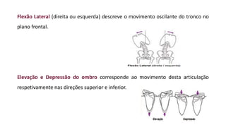 Flexão Lateral (direita ou esquerda) descreve o movimento oscilante do tronco no
plano frontal.
Elevação e Depressão do ombro corresponde ao movimento desta articulação
respetivamente nas direções superior e inferior.
 