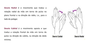 Desvio Radial é o movimento que traduz a
rotação radial da mão em torno do pulso no
plano frontal e na direção do rádio, i.e., para o
lado do polegar.
Desvio Cubital é o movimento oposto e que
traduz a rotação frontal da mão em torno do
pulso na direção do cúbito, na direção do dedo
mínimo.
 