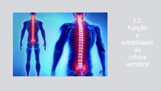 3.3.
Função
e
estabilidade
da
coluna
vertebral
 