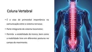 Coluna Vertebral
• É o eixo de primordial importância na
comunicação entre o sistema nervoso;
• Parte integrante do sistema locomotor;
• Permite a estabilidade do tronco, bem como
a mobilidade livre em diferentes posturas no
campo do movimento.
 