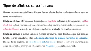 Tipos de célula do corpo humano
O corpo humano é constituído por diversos tipos de células; Dentro as células que fazem parte do
corpo humano temos:
Células do cérebro: é formado por diversos tipos: a micróglia (defesa do sistema nervoso), a célula
dendrítica (células imunes que transportam antígenos), o neurónio (transmissão de mensagens) e a
célula de Schwann (produção de mielina que auxiliam na produção dos impulsos nervosos).
Células do sangue: O sangue humano é formado por diversos tipos de células, cada qual com sua
função, as mais importantes são: as hemácias chamadas de glóbulos vermelhos ou eritrócitos
(transporte de oxigênio); os leucócitos ou glóbulos brancos (atuam no sistema imunológico do
corpo no combate e eliminam os microrganismos; Plaquetas (coagulação sanguínea) .
 