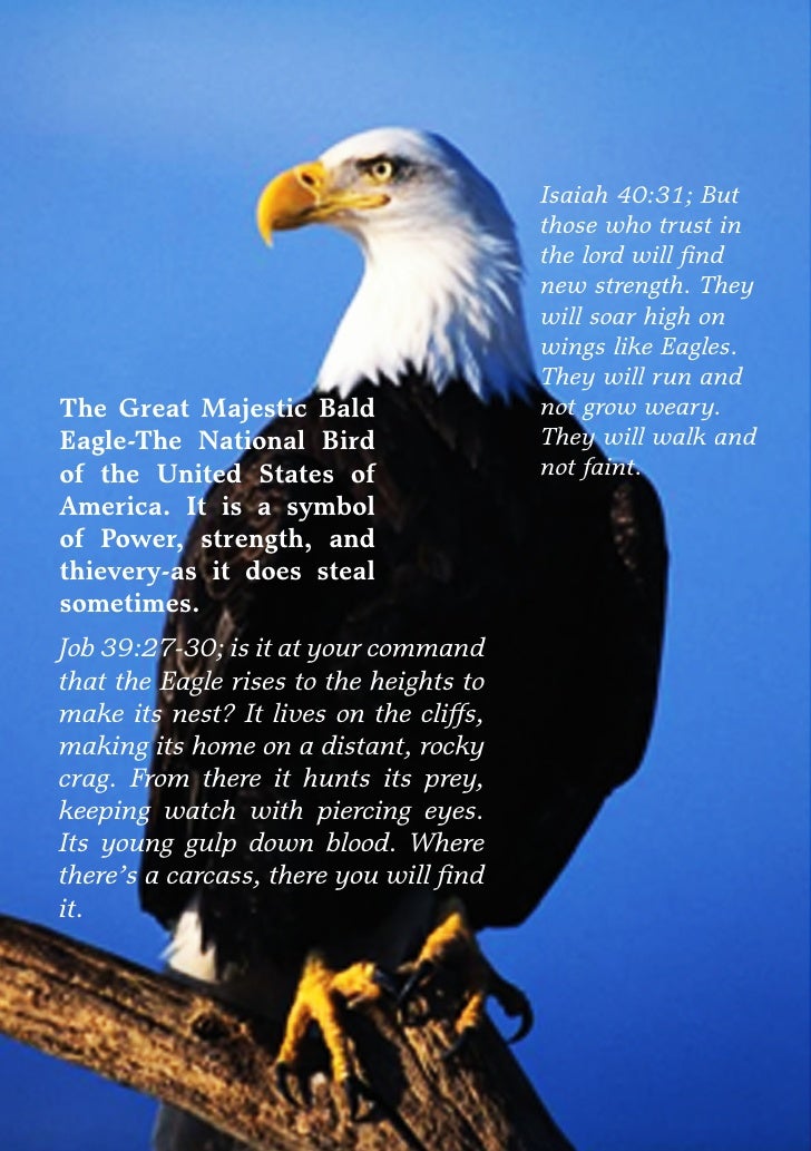the parable of the eagle Eagle parable question #2 october 29, 2012 colin penley my human geo classes: a continuation of the last assignment please answer the following question in the. the parable of the eagle Eagle parable question #2 october 29, 2012 colin penley my human geo classes: a continuation of the last assignment please answer the following question in the.