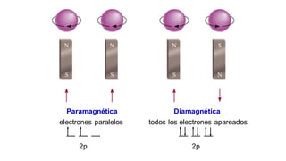Paramagnética
electrones paralelos
2p
Diamagnética
todos los electrones apareados
2p
 