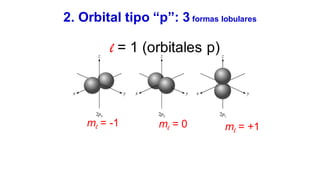 2. Orbital tipo “p”: 3 formas lobulares
ml = -1 ml = 0 ml = +1
l = 1 (orbitales p)
 