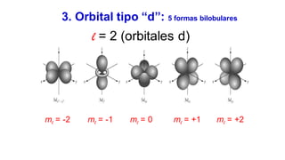 l = 2 (orbitales d)
3. Orbital tipo “d”: 5 formas bilobulares
ml = -2 ml = -1 ml = 0 ml = +1 ml = +2
 