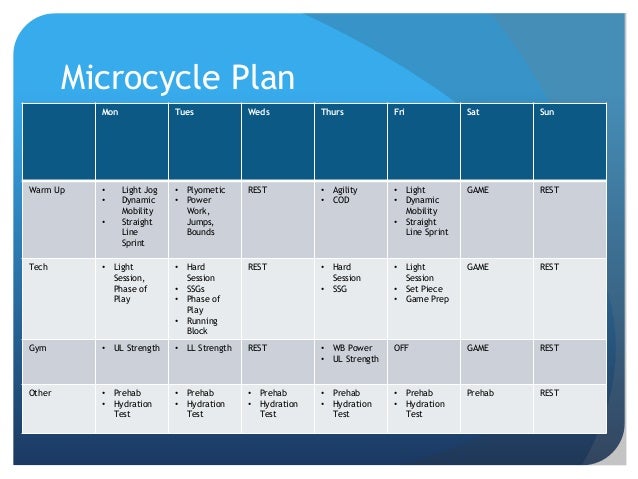 30 Minute Microcycle Workout Plan for Push Pull Legs