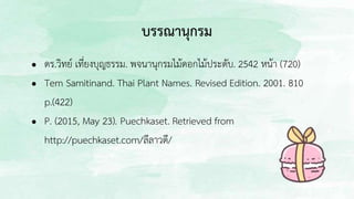 บรรณานุกรม
● ดร.วิทย์ เที่ยงบุญธรรม. พจนานุกรมไม้ดอกไม้ประดับ. 2542 หน้า (720)
● Tem Samitinand. Thai Plant Names. Revised Edition. 2001. 810
p.(422)
● P. (2015, May 23). Puechkaset. Retrieved from
http://puechkaset.com/ลีลาวดี/
 