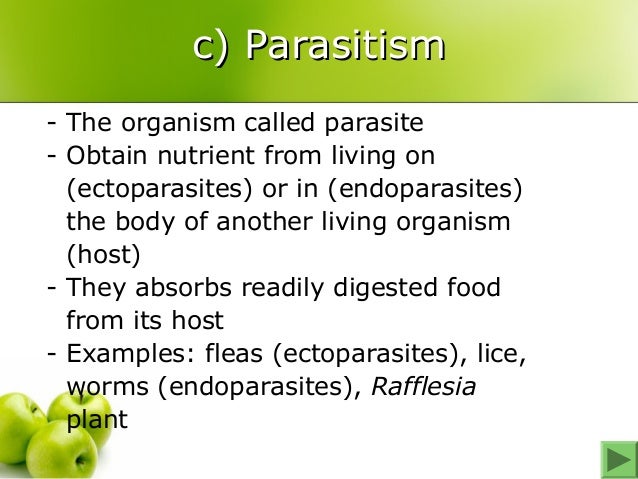 6570567 61 typesofnutrition