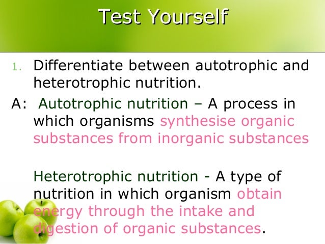 6570567 61 types-of-nutrition