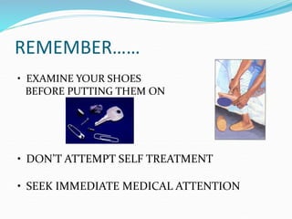 REMEMBER……
• EXAMINE YOUR SHOES
BEFORE PUTTING THEM ON
• DON’T ATTEMPT SELF TREATMENT
• SEEK IMMEDIATE MEDICAL ATTENTION
 