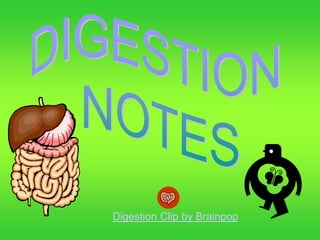 Digestion Clip by Brainpop
 