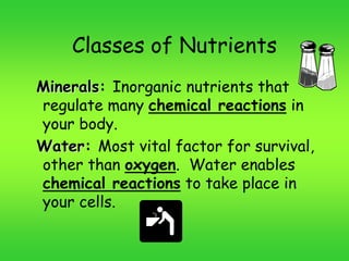 Classes of Nutrients
Minerals: Inorganic nutrients that
regulate many chemical reactions in
your body.
Water: Most vital factor for survival,
other than oxygen. Water enables
chemical reactions to take place in
your cells.
 