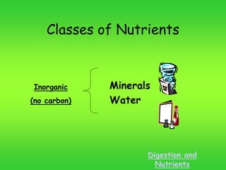Classes of Nutrients
Minerals
Water
Digestion and
Nutrients
Inorganic
(no carbon)
 