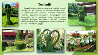 Топіарій (також використовуються терміни: топіар,
топіарі – від англ. topiary, що походить від грец. τόπος.
У латинській мові topiarius означало «садівник».
Topiaria – садівниче мистецтво) – це прикраса з серії
hand-made, яка є штучним, трохи фантастичним
деревом. Топіарне мистецтво – фігурна стрижка
вічнозелених рослин, формування дерев і чагарників в
об’ємні геометричні фігури.
Топіарій
 