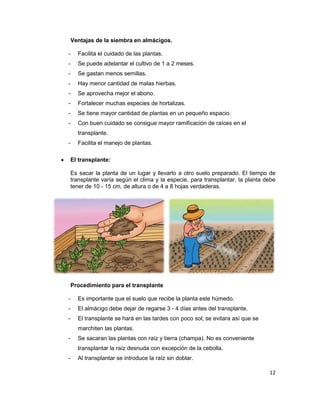 Ventajas de la siembra en almácigos.
-

Facilita el cuidado de las plantas.

-

Se puede adelantar el cultivo de 1 a 2 meses.

-

Se gastan menos semillas.

-

Hay menor cantidad de malas hierbas.

-

Se aprovecha mejor el abono.

-

Fortalecer muchas especies de hortalizas.

-

Se tiene mayor cantidad de plantas en un pequeño espacio.

-

Con buen cuidado se consigue mayor ramificación de raíces en el
transplante.

•

Facilita el manejo de plantas.
El transplante:
Es sacar la planta de un lugar y llevarlo a otro suelo preparado. El tiempo de
transplante varía según el clima y la especie, para transplantar, la planta debe
tener de 10 - 15 cm. de altura o de 4 a 8 hojas verdaderas.

Procedimiento para el transplante
-

Es importante que el suelo que recibe la planta este húmedo.

-

El almácigo debe dejar de regarse 3 - 4 días antes del transplante.

-

El transplante se hará en las tardes con poco sol; se evitara así que se
marchiten las plantas.

-

Se sacaran las plantas con raíz y tierra (champa). No es conveniente
transplantar la raíz desnuda con excepción de la cebolla.

-

Al transplantar se introduce la raíz sin doblar.
12

 
