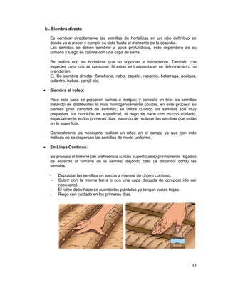b). Siembra directa
Es sembrar directamente las semillas de hortalizas en un sitio definitivo en
donde va a crecer y cumplir su ciclo hasta el momento de la cosecha.
Las semillas se deben sembrar a poca profundidad, esto dependerá de su
tamaño y luego se cubrirá con una capa de tierra.
Se realiza con las hortalizas que no soportan el transplante. También con
especies cuya raíz se consume. Si estas se trasplantaran se deformarían o no
prenderían.
Ej. De siembra directa: Zanahoria, nabo, zapallo, rabanito, betarraga, acelgas,
culantro, habas, perejil etc.
•

Siembra al voleo:
Para este caso se preparan camas o melgas; y consiste en tirar las semillas
tratando de distribuirlas lo mas homogéneamente posible, en este proceso se
pierden gran cantidad de semillas; se utiliza cuando las semillas son muy
pequeñas. La cubrición es superficial, el riego se hace con mucho cuidado,
especialmente en los primeros días, tratando de no lavar las semillas que están
en la superficie.
Generalmente es necesario realizar un raleo en el campo ya que con este
método no se dispersan las semillas de modo uniforme.

•

En Línea Continua:
Se prepara el terreno (de preferencia surcos superficiales) previamente regados
de acuerdo al tamaño de la semilla; dejando caer (a distancia corta) las
semillas.
-

Depositar las semillas en surcos a manera de chorro continuo.
Cubrir con la misma tierra o con una capa delgada de compost (de ser
necesario)
El raleo debe hacerse cuando las plántulas ya tengan varias hojas.
Riego con cuidado en los primeros días.

14

 