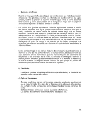•

Cuidados en el riego

-

Durante el riego y por la fuerza del agua, las semillas (si es que no trabajamos con
almácigos) y las plantas pequeñas ya enterradas se pueden salir de su lugar,
golpear, quebrar o aplastar. Si regamos rociando agua sobre la cama, debemos
tener cuidado y poner poca presión en la manguera o regar con un aspersor
alrededor de la planta o al lado de la línea de semillas.

-

Las plantas más grandes aguantan un chorro de agua mayor. Durante el verano
las plantas requieren más agua (porque como nosotros transpiran más por el
calor). Asimismo, en climas secos se requiere mayor riego que en climas
húmedos. Debemos estar atentos a que el suelo se mantenga húmedo, pero no
sólo por encima, sino húmedo hasta donde llegan las raíces de nuestras plantas,
recordando que es por ahí por donde se alimentan. Conviene regar las camas
todos los días para mantener una humedad uniforme; de ese modo se eliminan
diariamente el polvo, la mugre y los insectos de las hojas, creándose una
atmósfera húmeda muy agradable para fomentar el crecimiento de las plantas y la
vida microbiana.

-

En las camas el riego de las plantas maduras debe realizarse cuando comienza a
disminuir el calor del día, preferentemente al final de la tarde. El abastecimiento de
agua es básico en ese momento ya que una importante parte del crecimiento de
las plantas se da a lo largo de la noche. En el caso de almácigos y semillas o
plantas jóvenes en camas, puede ser necesario regar en la mañana, al mediodía y
al final de la tarde. Se requiere mayor cantidad de agua porque su pérdida es
también mayor al estar la superficie del suelo más expuesta.
b). Deshierbo
La escarda consiste en remover el terreno superficialmente y el deshierbe en
sacar las malas hierbas y la maleza.
c). Raleo o Entresaque
Consiste en eliminar plantas mal formadas, pequeñas y delgadas quedándonos
con la mejor formada. Sirve para dar el distanciamiento adecuado a las plantas.
Así no habrá mucha competencia entre ellas por la absorción de nutrientes del
suelo.
Se hace el raleo o entresaque cuando la parcela esta húmeda.
Las plantas deberán tener aproximadamente 3 dedos de alto.

16

 